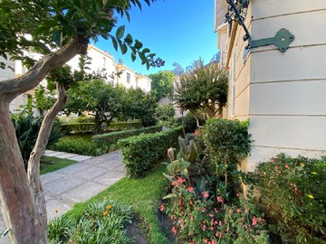 Arriendo Mensual / Departamento / Viña del Mar