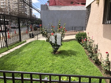 Imagen 22