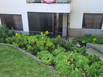 Imagen 11