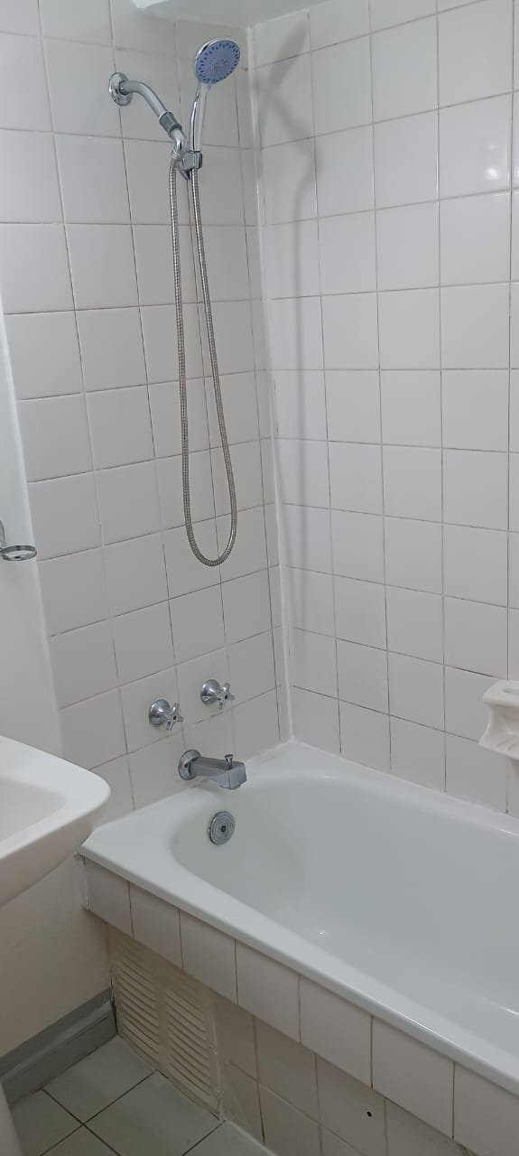 Tina baño 1