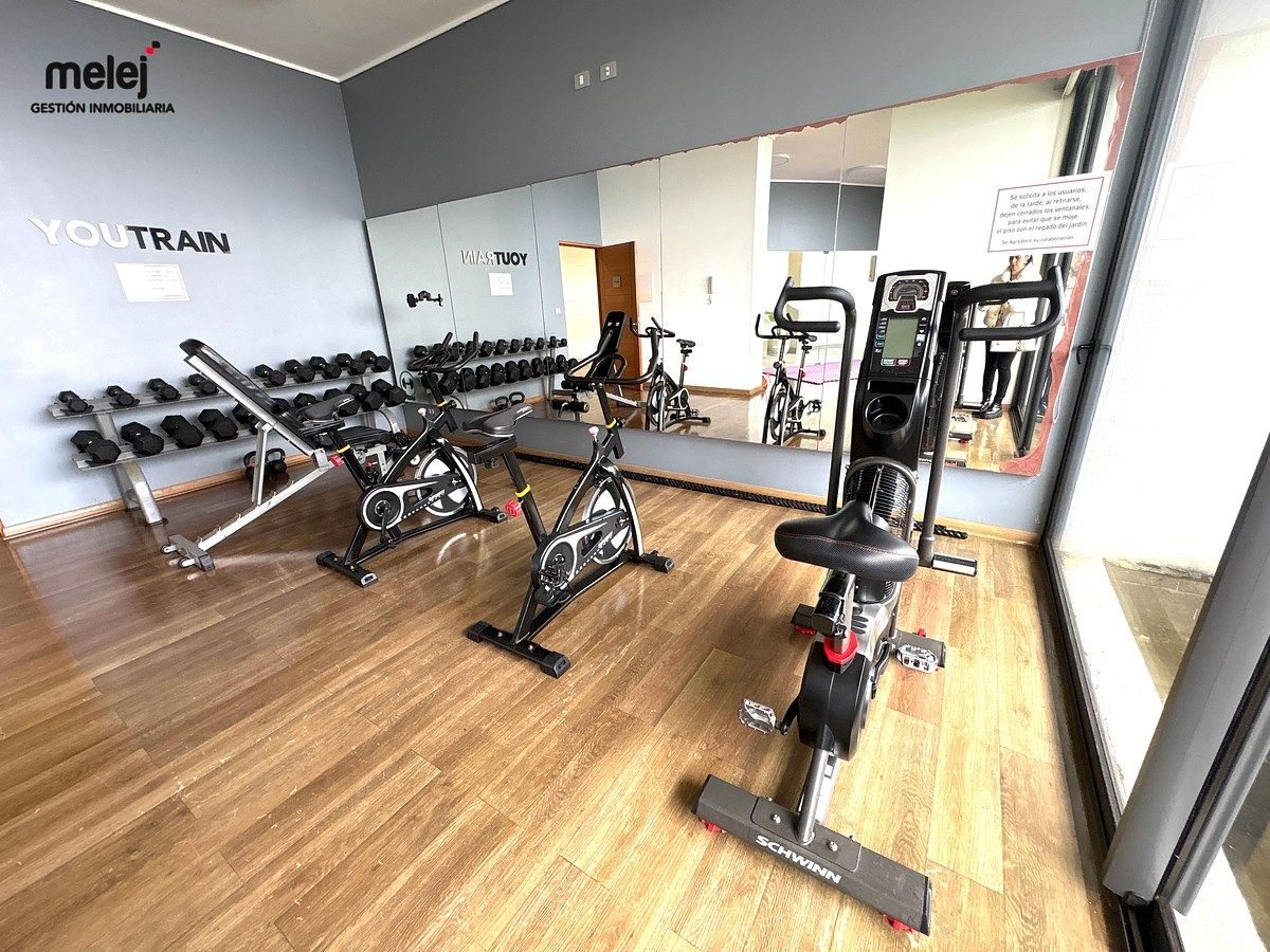 Gimnasio