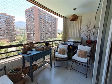 Imagen 5