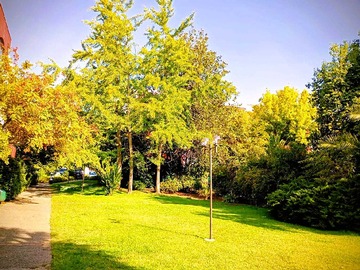 Arriendo Mensual / Departamento / Vitacura