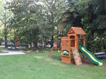 Imagen 5