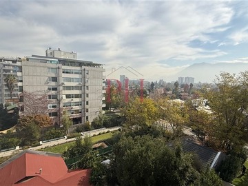 Imagen 12