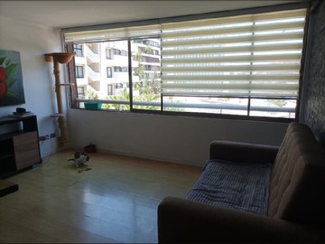Imagen 20