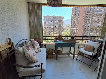 Imagen 6