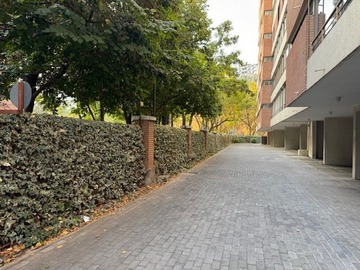 Imagen 23