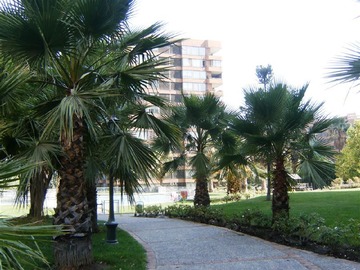Imagen 29