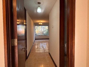 Imagen 17