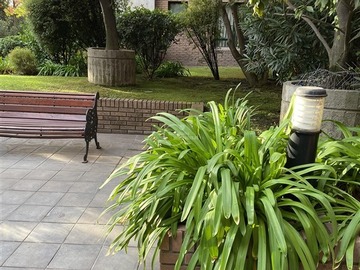 Imagen 13