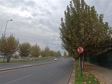 Imagen 22