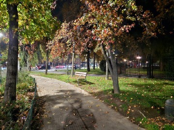 Imagen 25