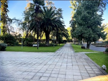 Imagen 27