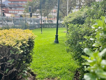 Imagen 19