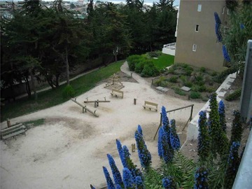 Imagen 10