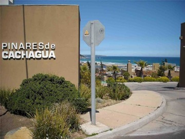 Imagen 13