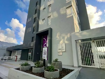 Arriendo Mensual / Estudio / Concepción