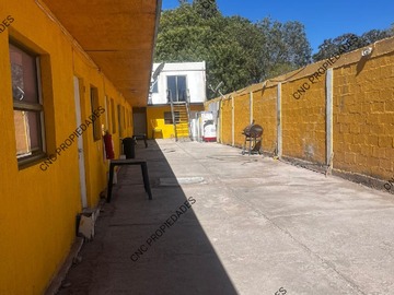 Imagen 6