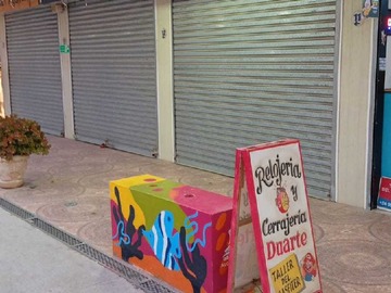 Imagen 15