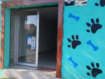 Imagen 5