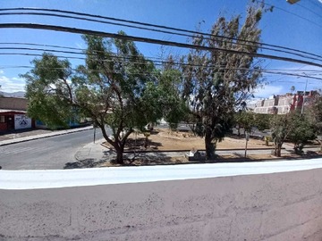 Imagen 21