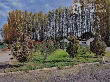 Imagen 5