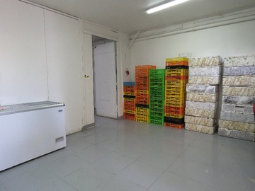 Imagen 5