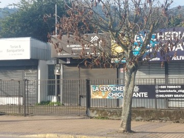 Imagen 3