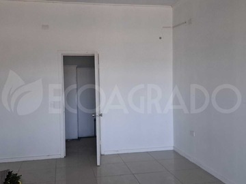 Arriendo Mensual / Local Comercial / Chillán