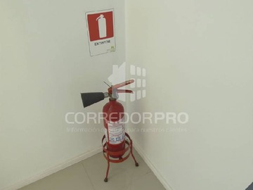 Imagen 15