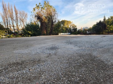 Imagen 5