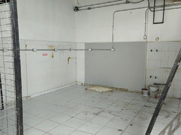 Imagen 5