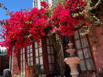 Arriendo Mensual / Local Comercial / Coquimbo