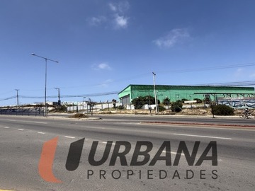 Imagen 8