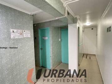 Imagen 7