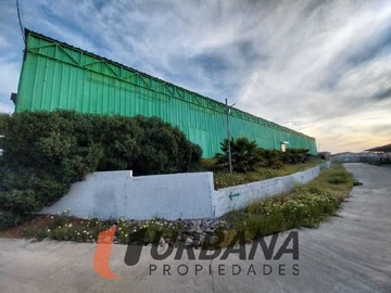 Imagen 16