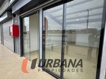 Imagen 8
