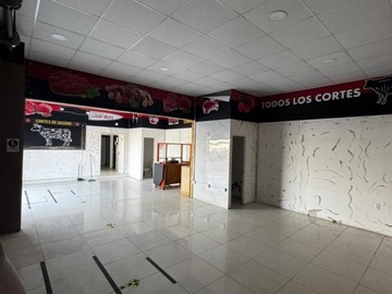 Imagen 11