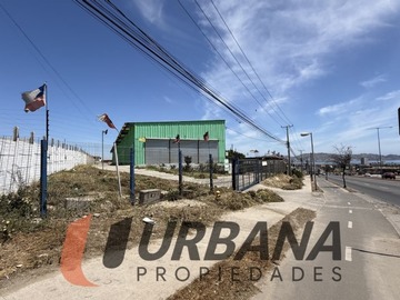 Imagen 5