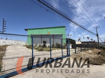 Imagen 6