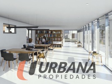 Imagen 7