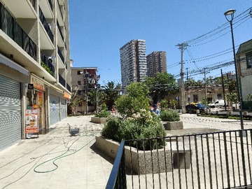 Imagen 5