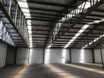 Imagen 4