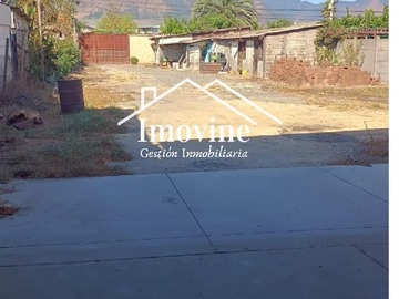 Imagen 5