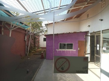 Imagen 11