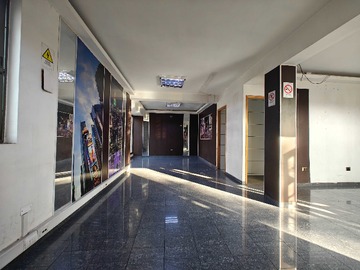 Imagen 7