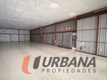 Imagen 11