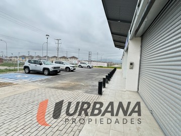 Imagen 4