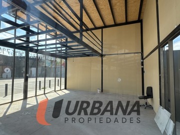 Imagen 7